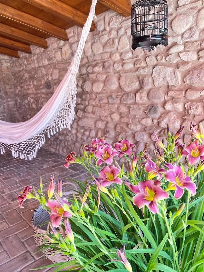 Bed & Breakfast Le Mansarine Charme B&B Castellaro  Italia